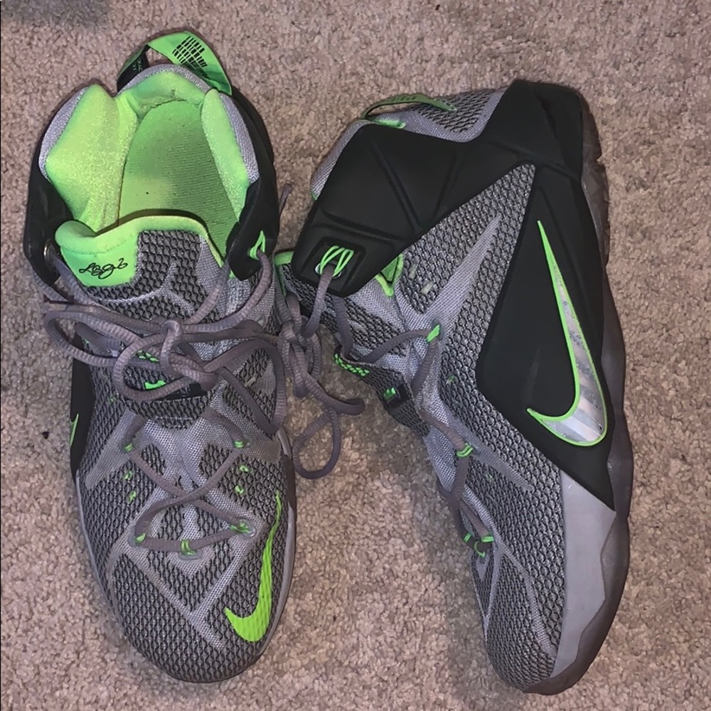 Lebron 12s